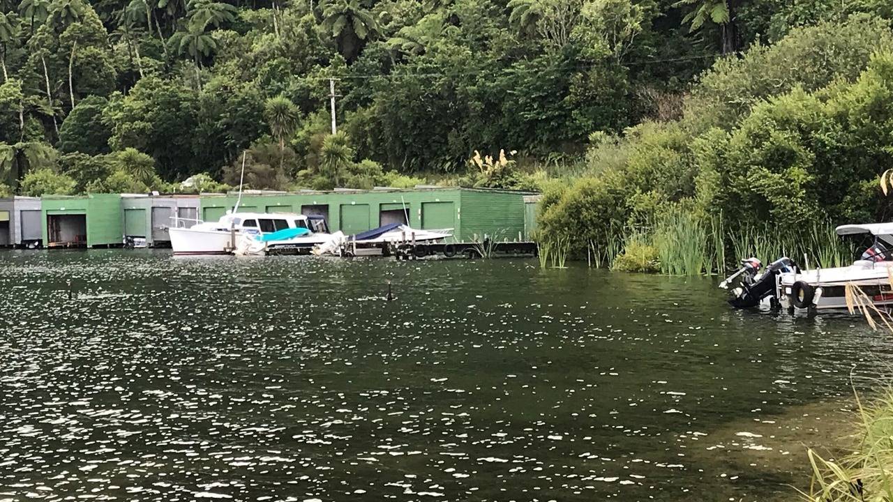 Photo of Others in Lake Tarawera