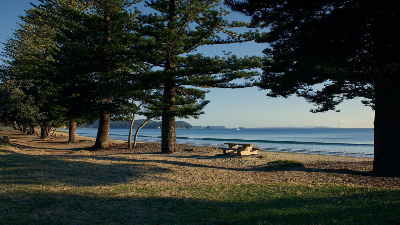 Photo of Others in Orewa