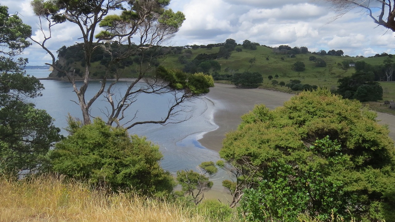 Photo of Others in Mahurangi West
