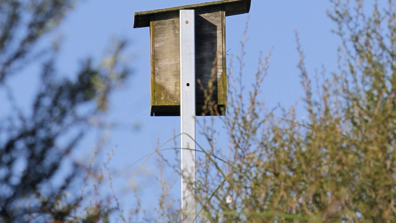 Photo of Others in Mahurangi West