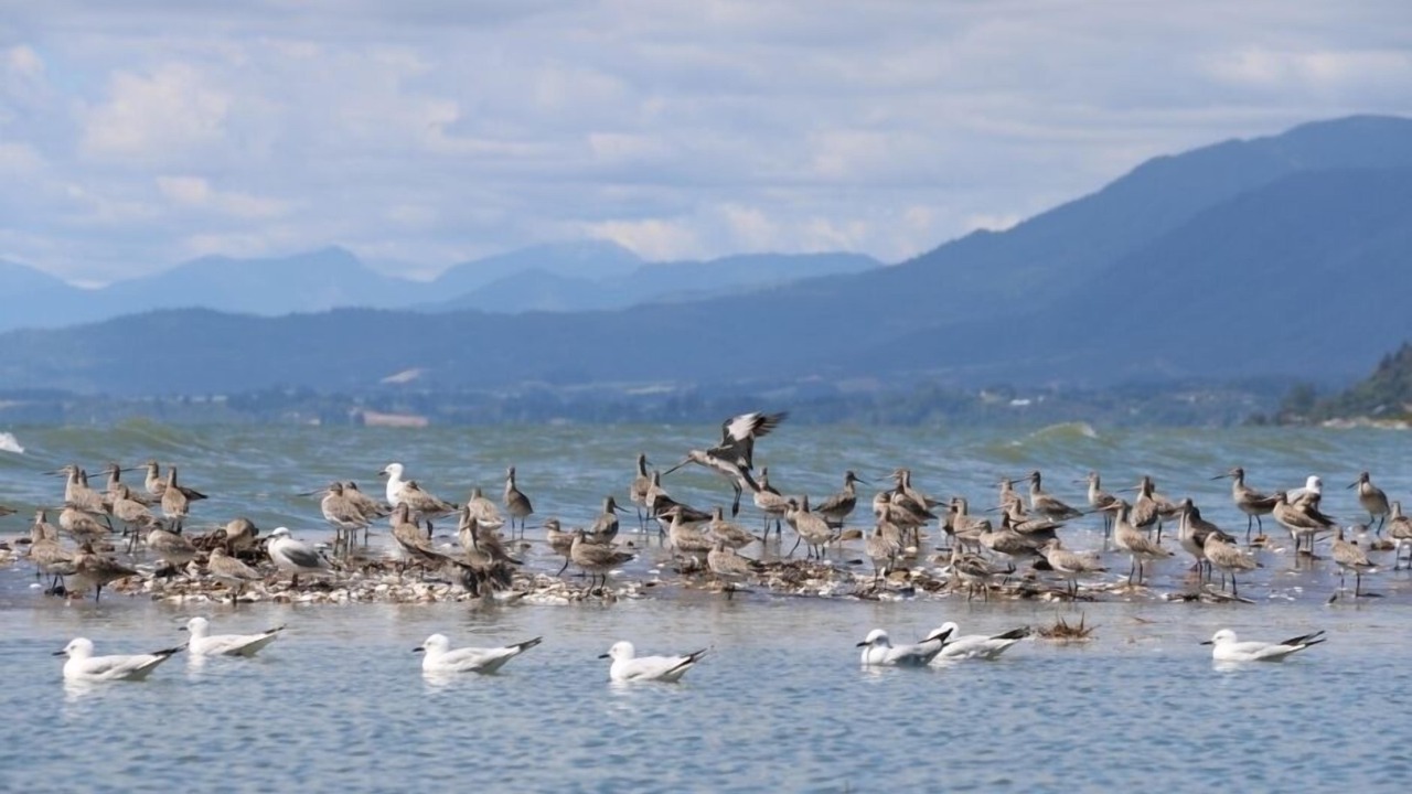 Photo of Others in Collingwood