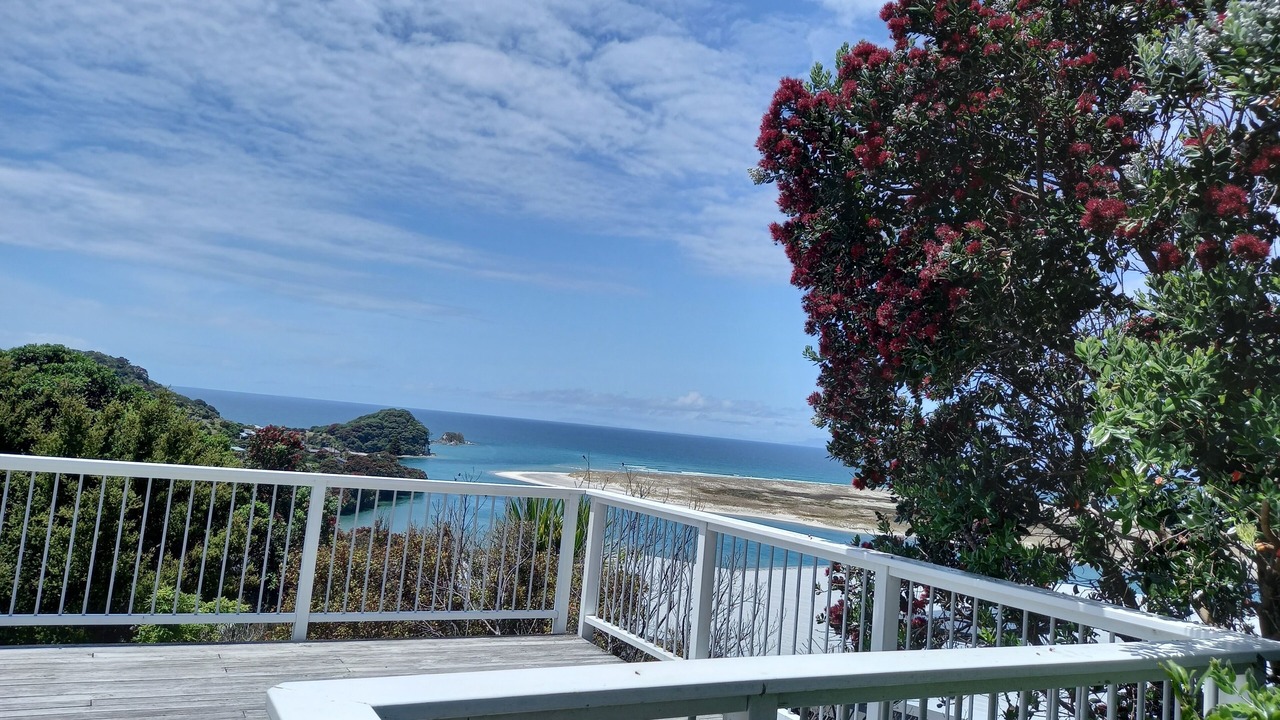 Photo of Others in Mangawhai Heads