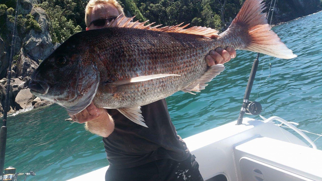 Photo of Others in Whangarei Heads