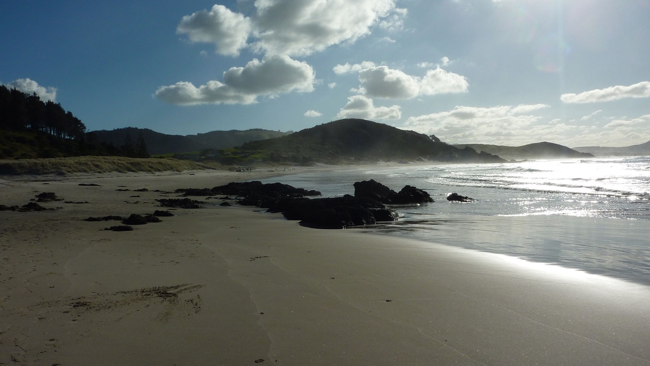 Photo of Others in Whangarei Heads