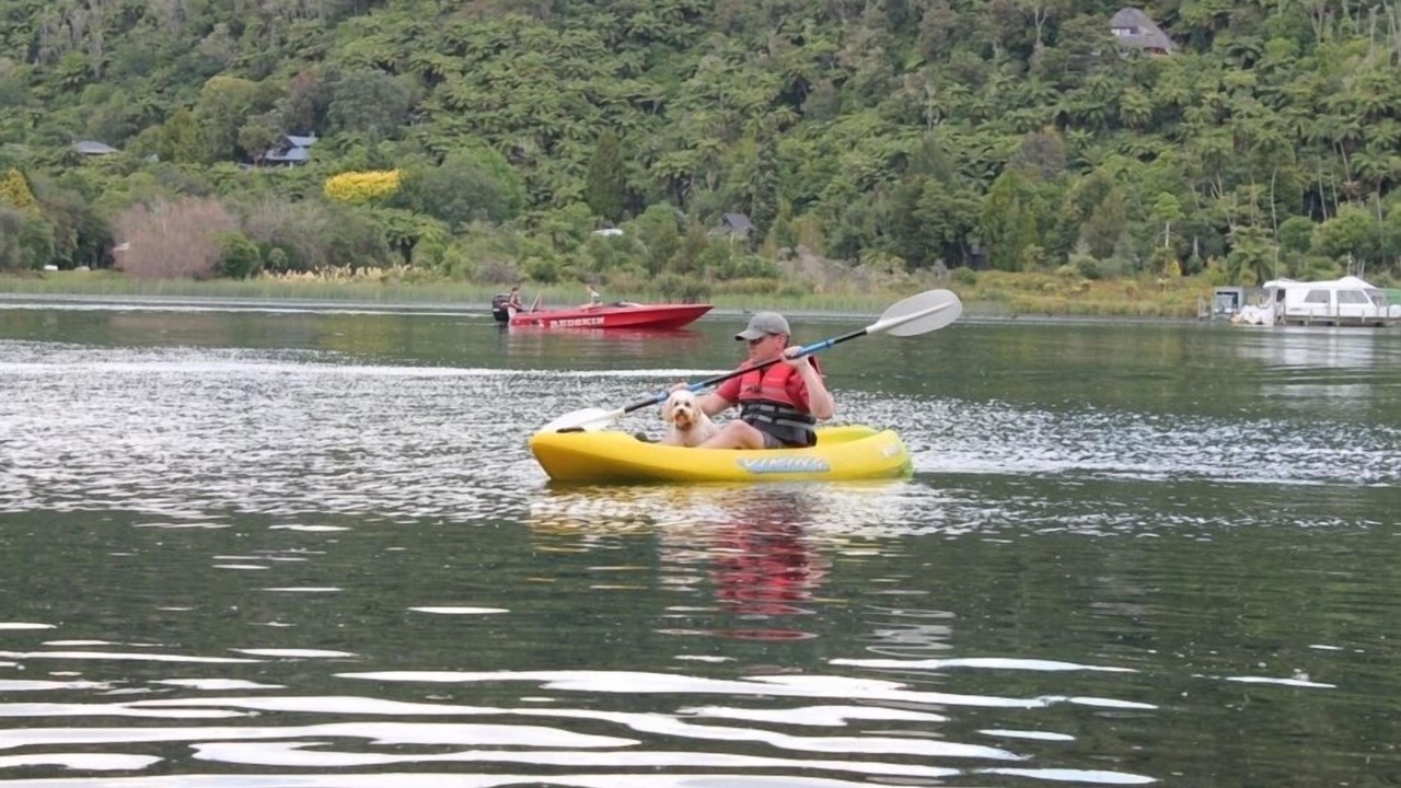 Photo of Others in Lake Tarawera