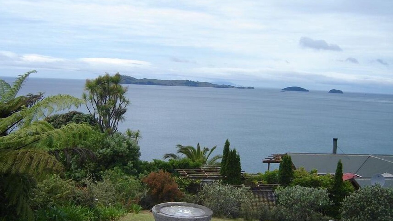 Photo of Others in Tairua