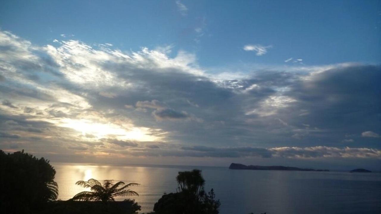 Photo of Others in Tairua