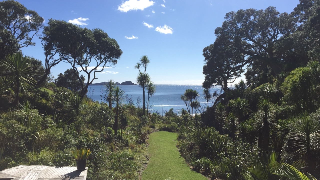 Photo of Others in Whananaki North