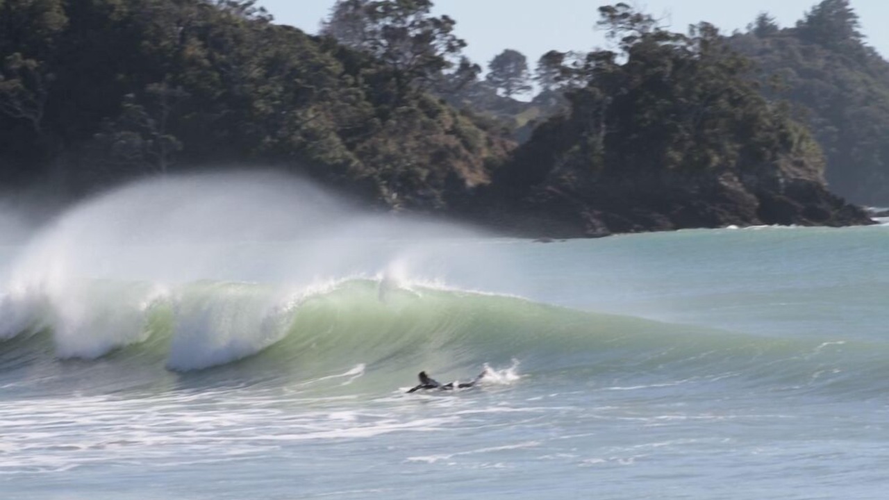 Photo of Others in Whananaki North