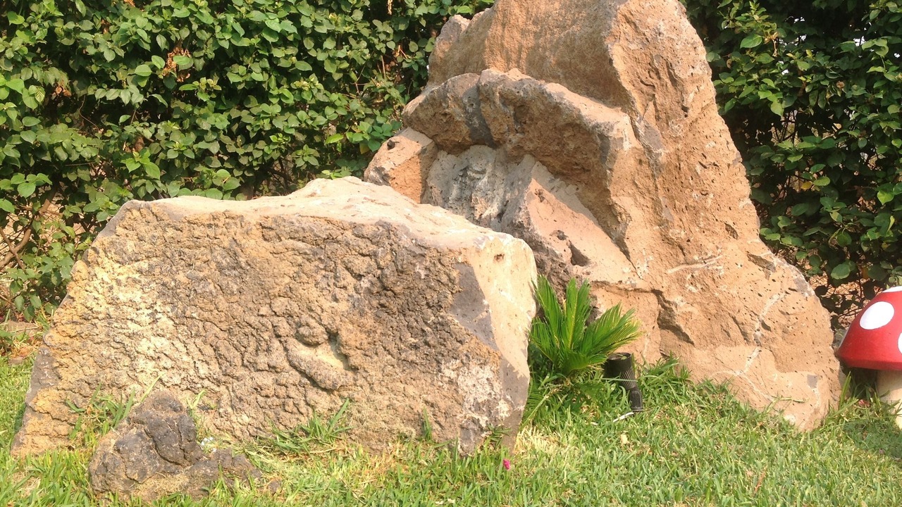 Photo of Outdoor in Yautepec