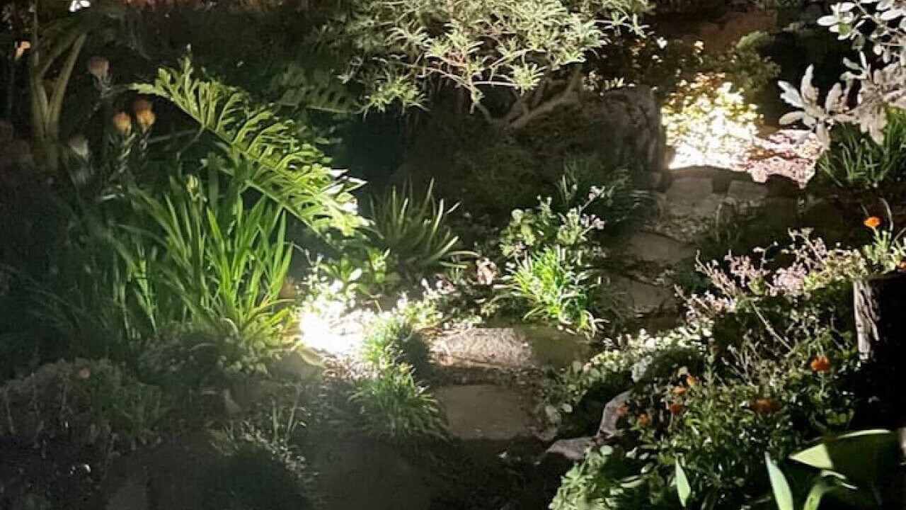 Photo of Outdoor in Raglan