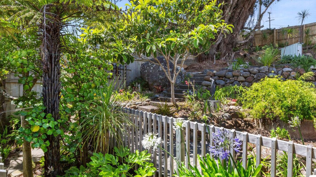 Photo of Outdoor in Raglan
