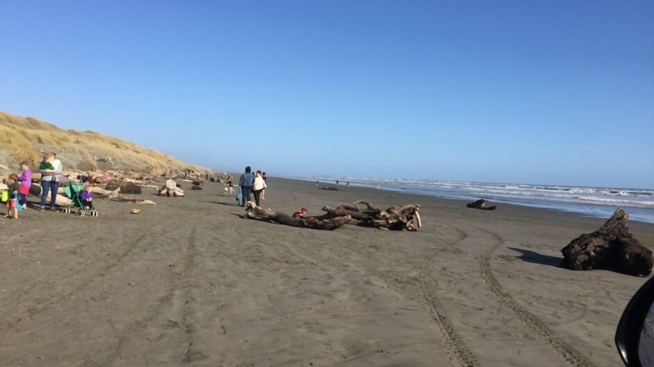 Photo of Others in Foxton Beach