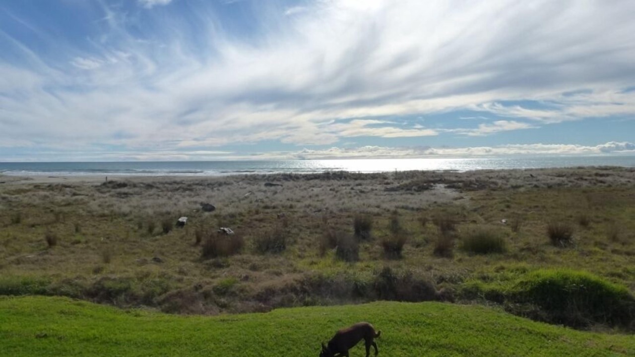 Photo of Others in Waiotahi