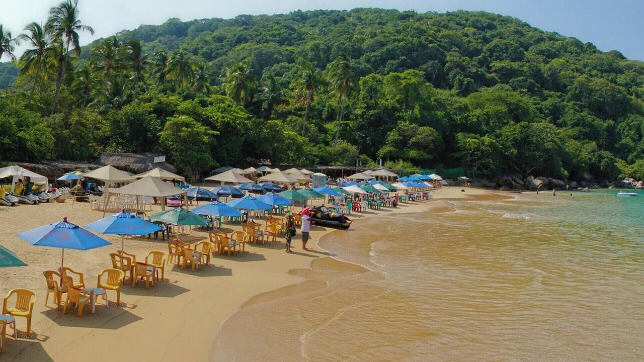Photo of Others in Puerto Marques
