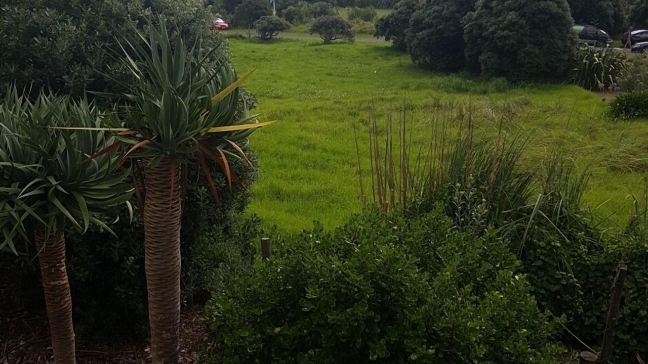 Photo of Others in Te Henga