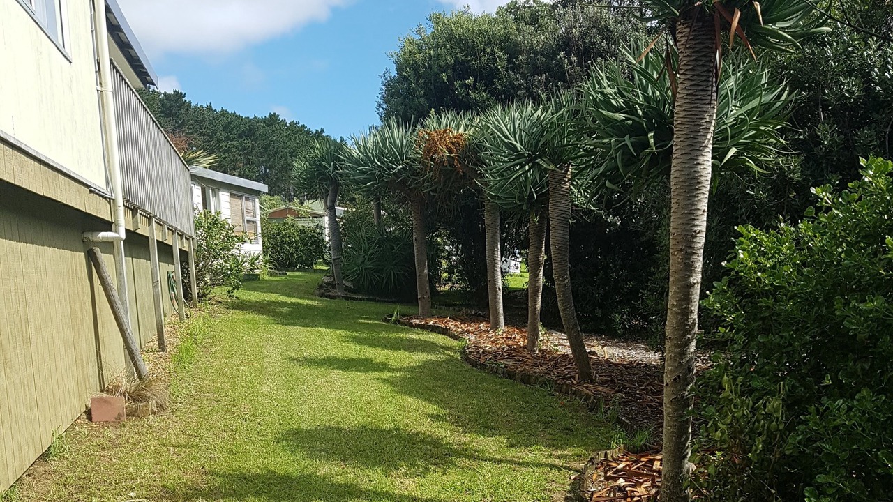 Photo of Outdoor in Te Henga