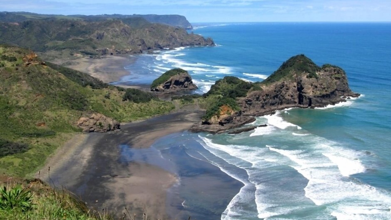 Photo of Others in Te Henga