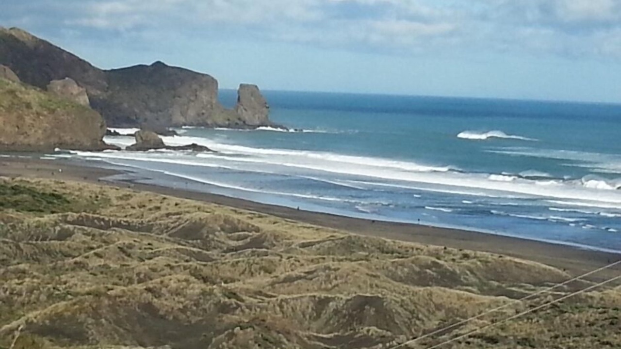 Photo of Others in Te Henga