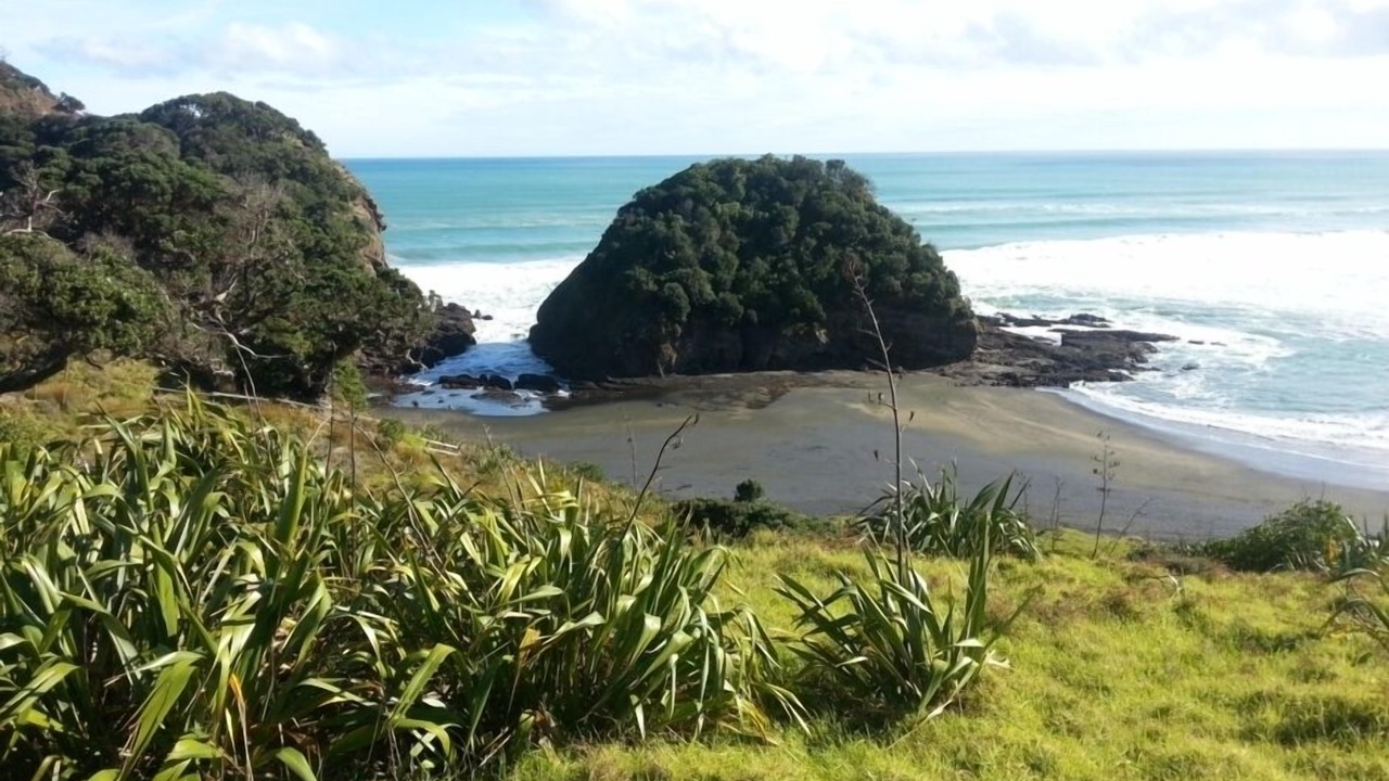 Photo of Others in Te Henga