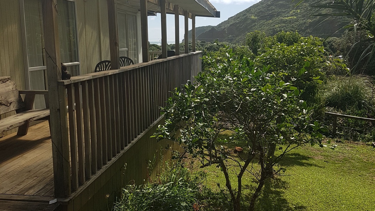 Photo of Outdoor in Te Henga