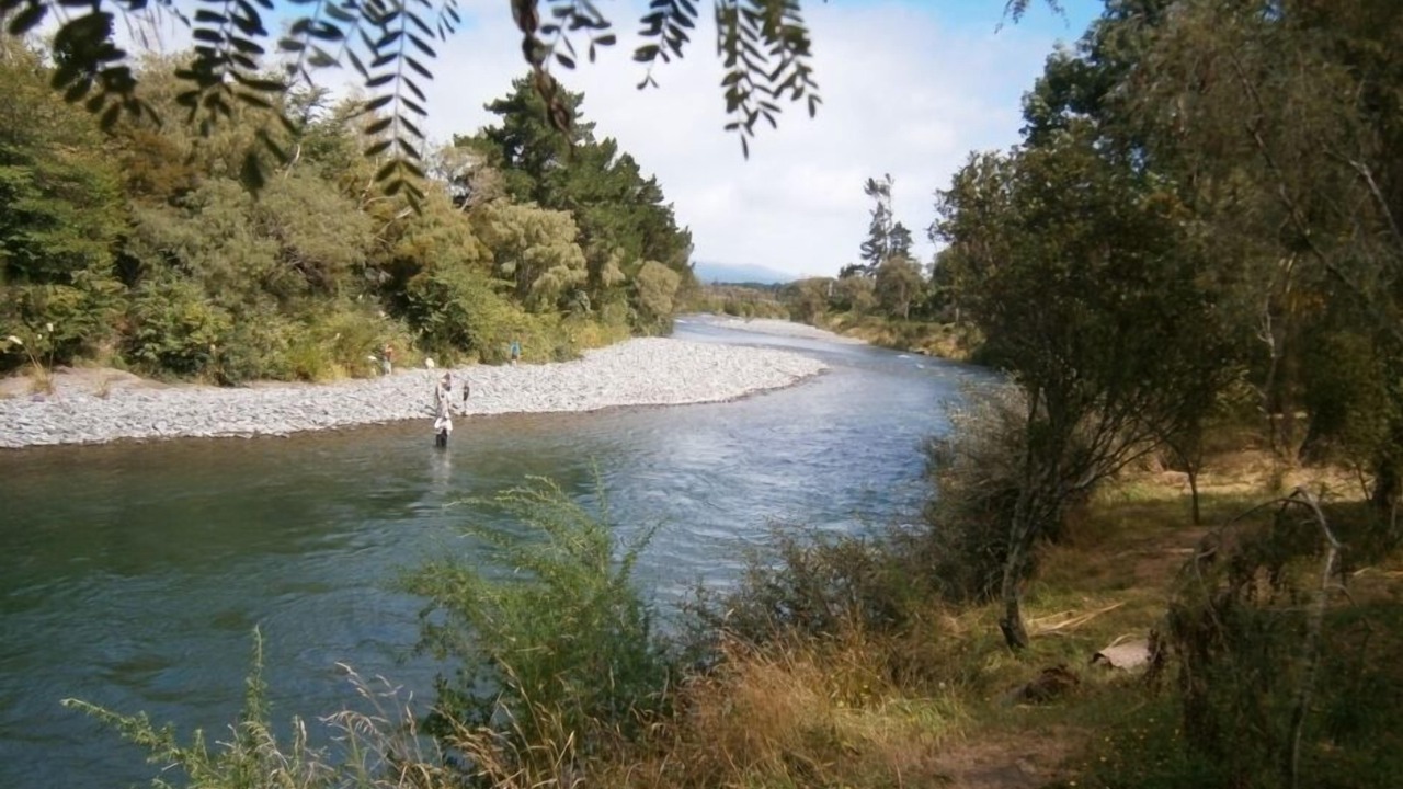 Photo of Others in Turangi