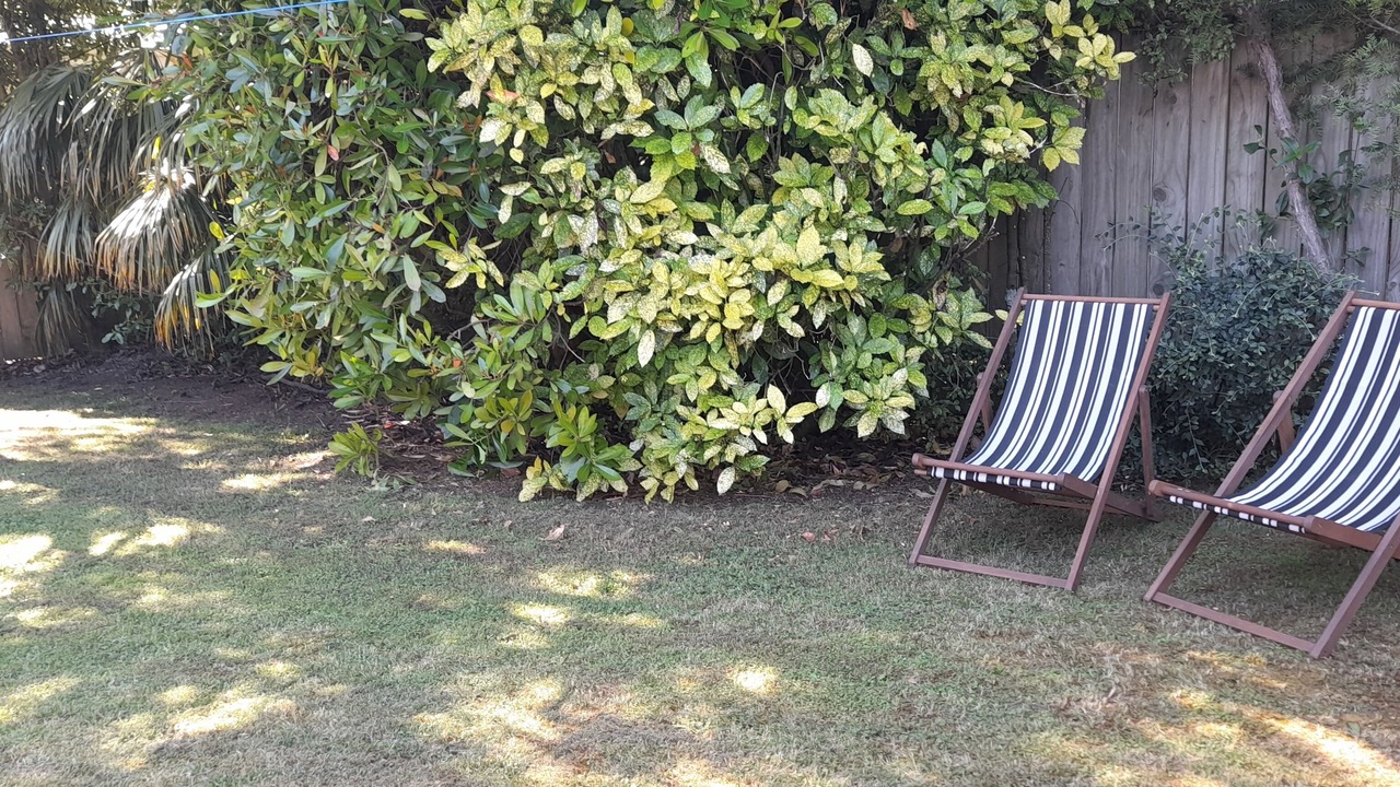 Photo of Outdoor in Turangi