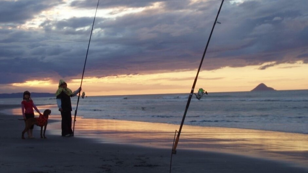Photo of Others in Waiotahi
