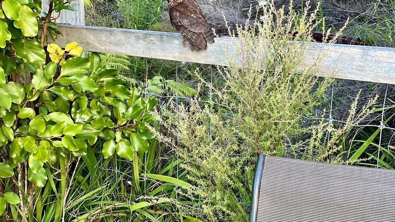 Photo of Outdoor in Waiotahi