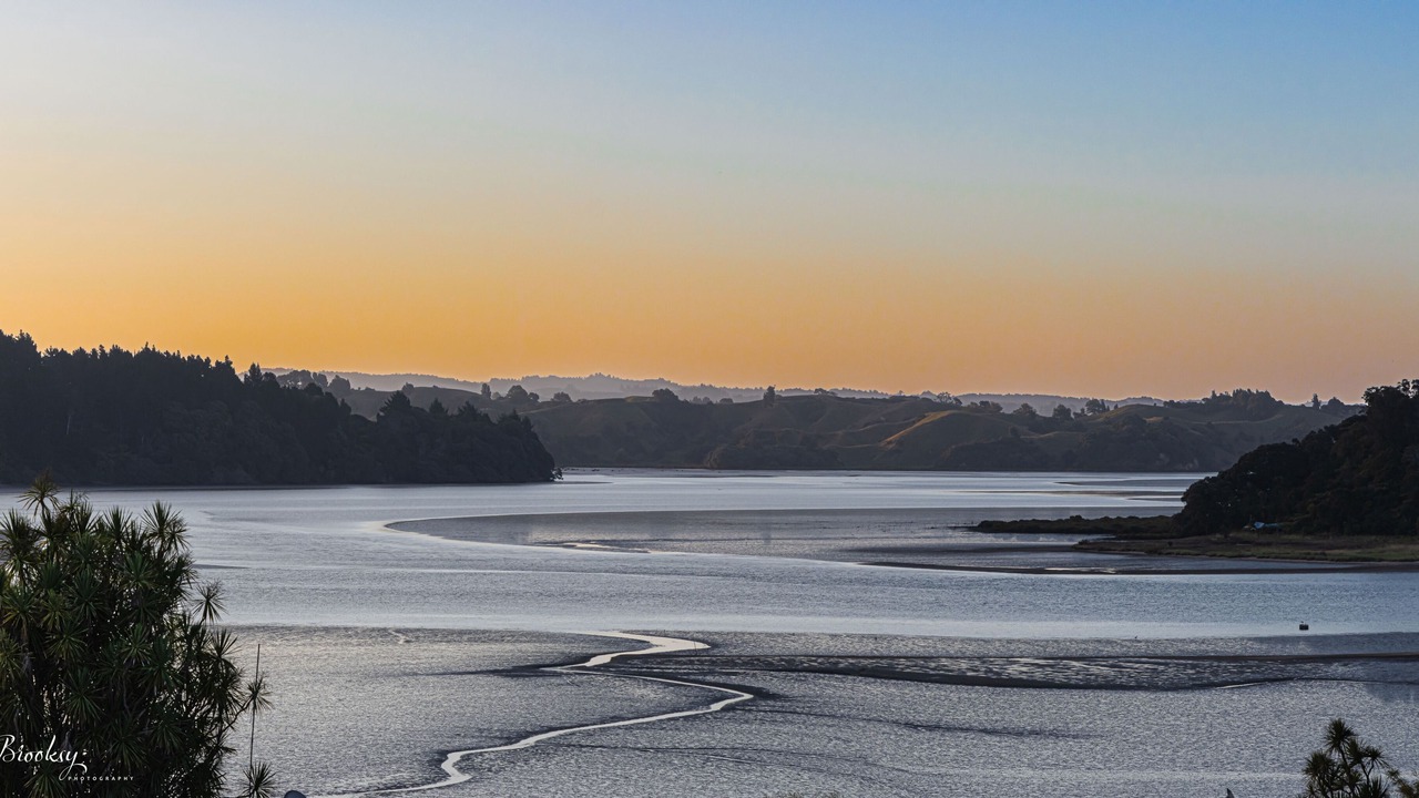 Photo of Others in Waiotahi