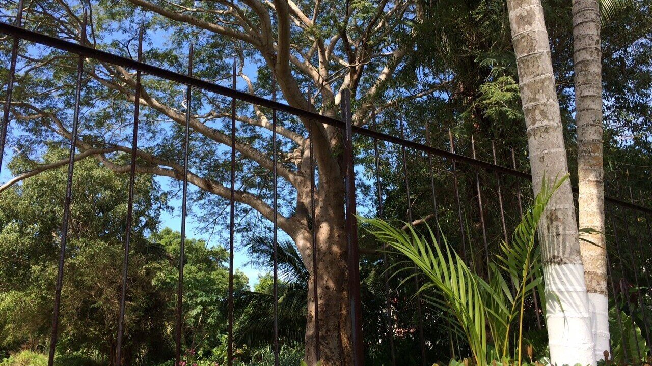 Photo of Outdoor in Ixtapa