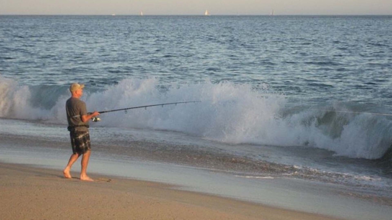 Photo of Others in Marina