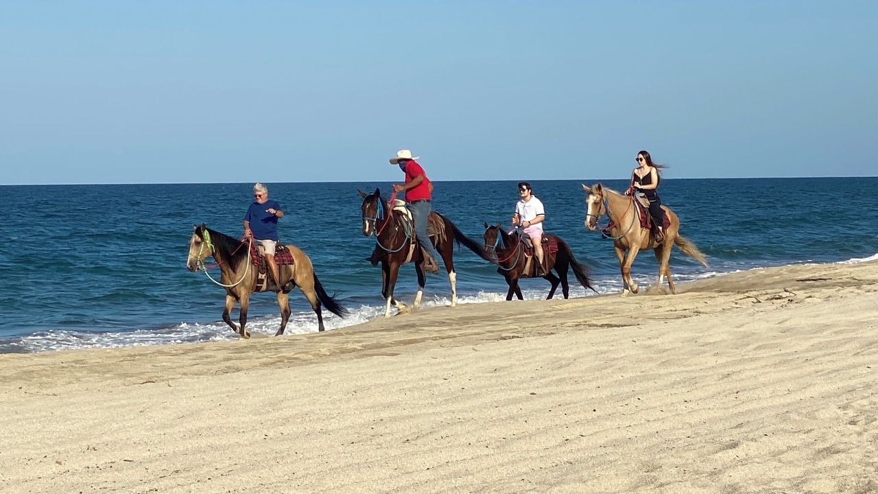 Photo of Others in Buenavista