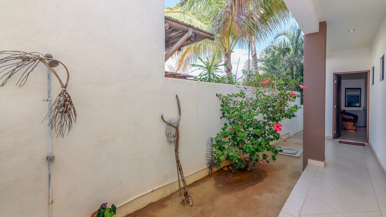 Photo of Outdoor in San Jose del Cabo