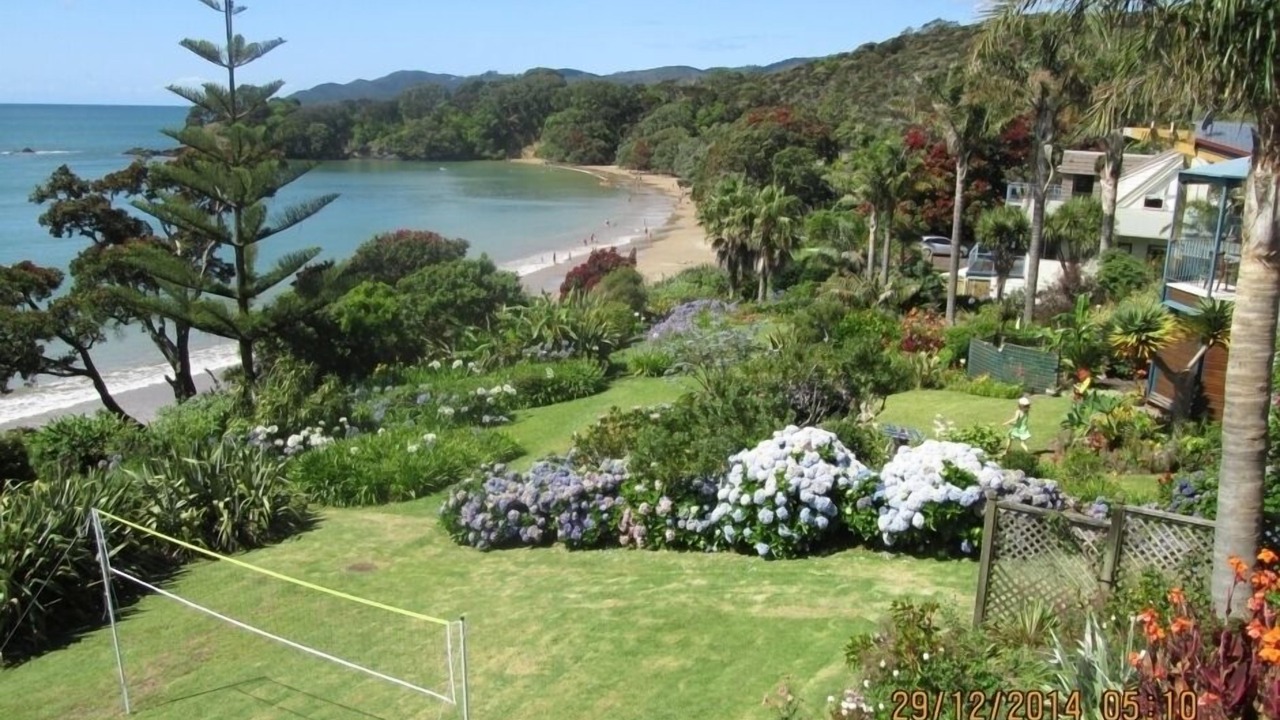 Photo of Others in Coopers Beach