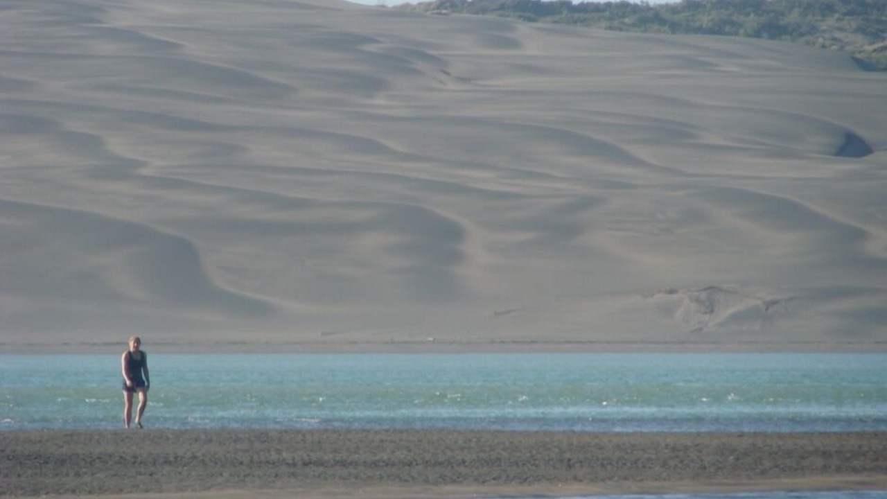 Photo of Others in Kawhia