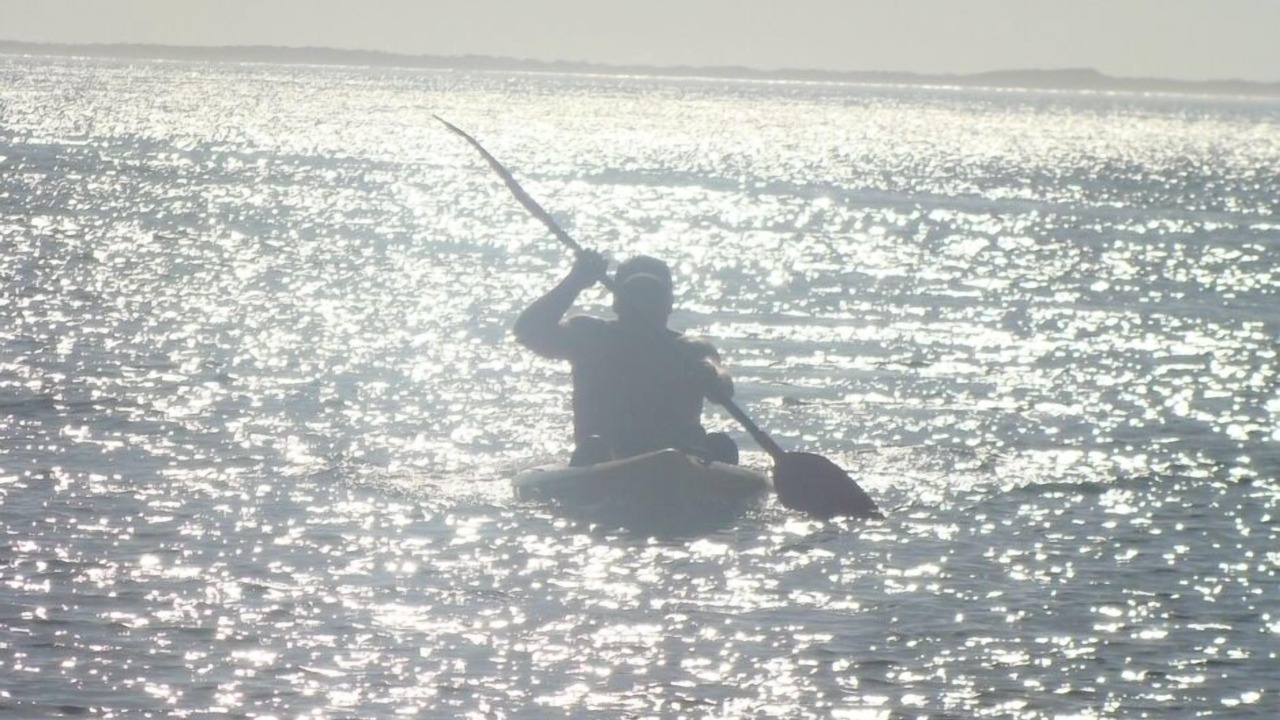 Photo of Others in Kawhia