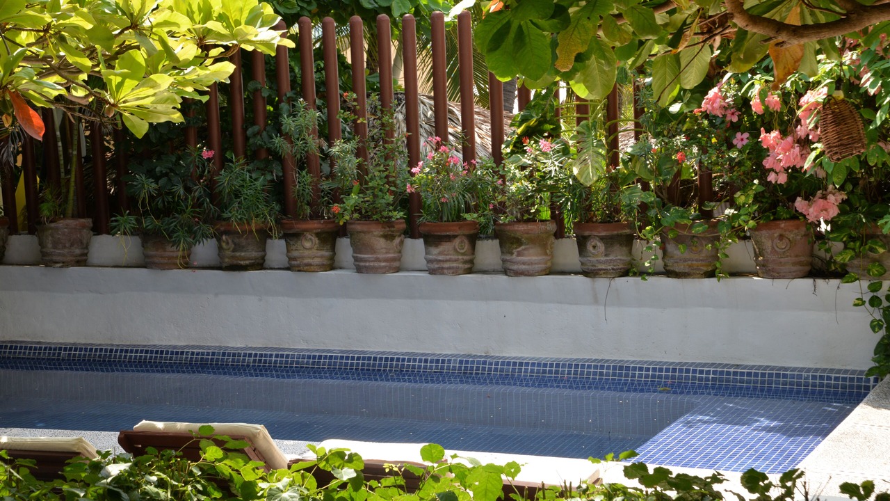 Photo of Outdoor in Playa la Madera