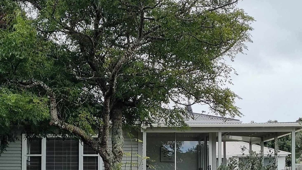 Photo of Outdoor in Pukenui