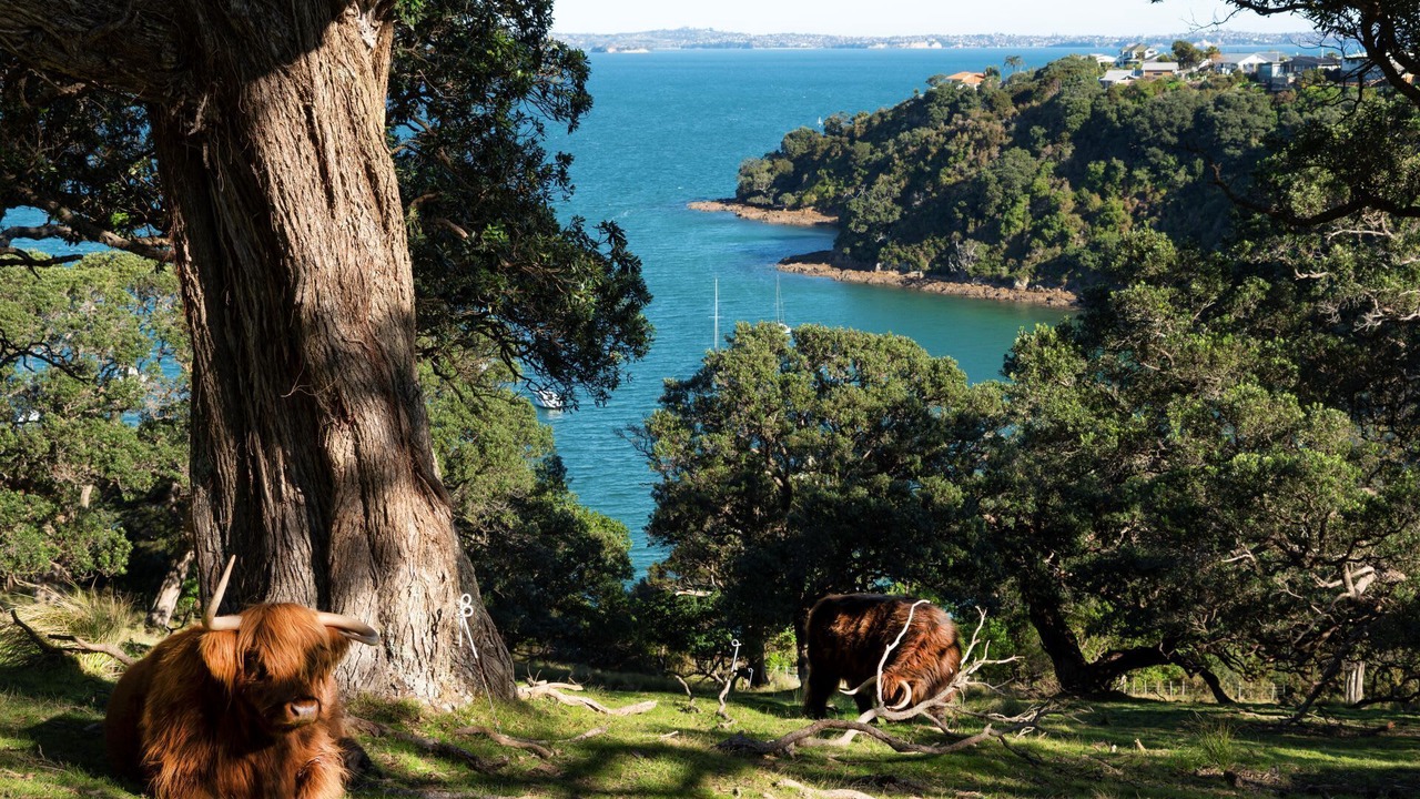 Photo of Others in Surfdale