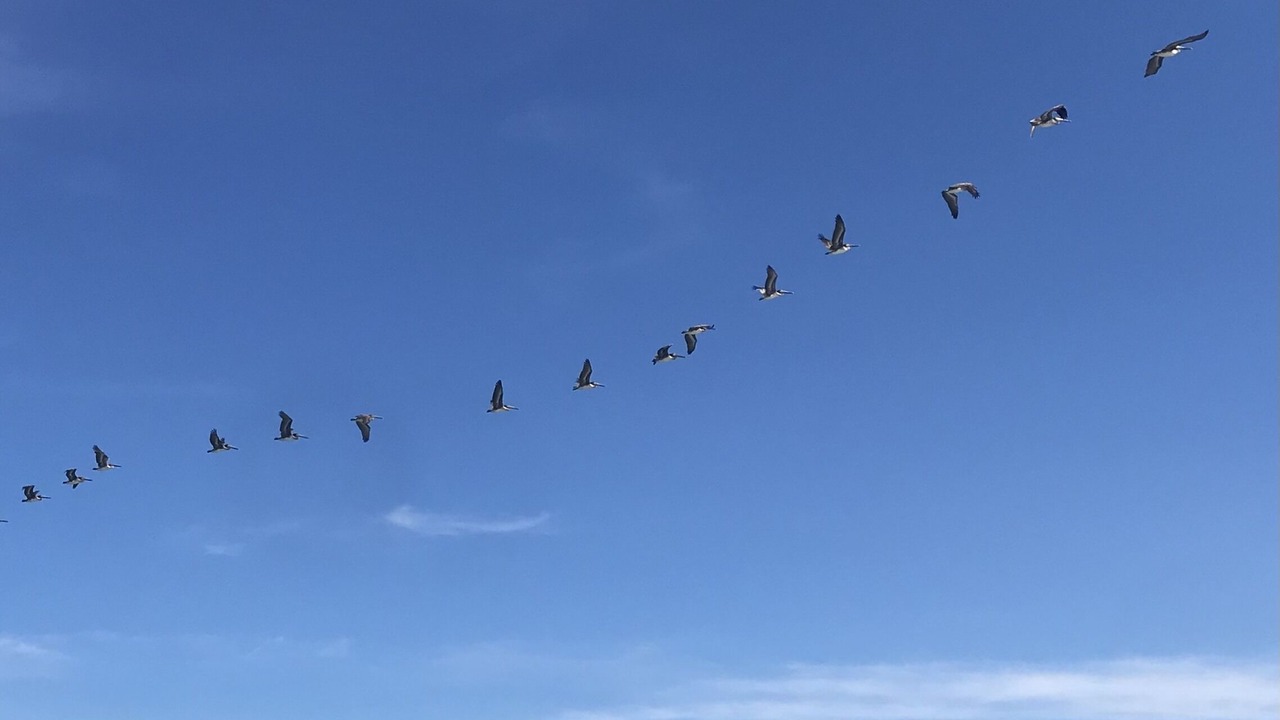 Photo of Others in Los Frailes