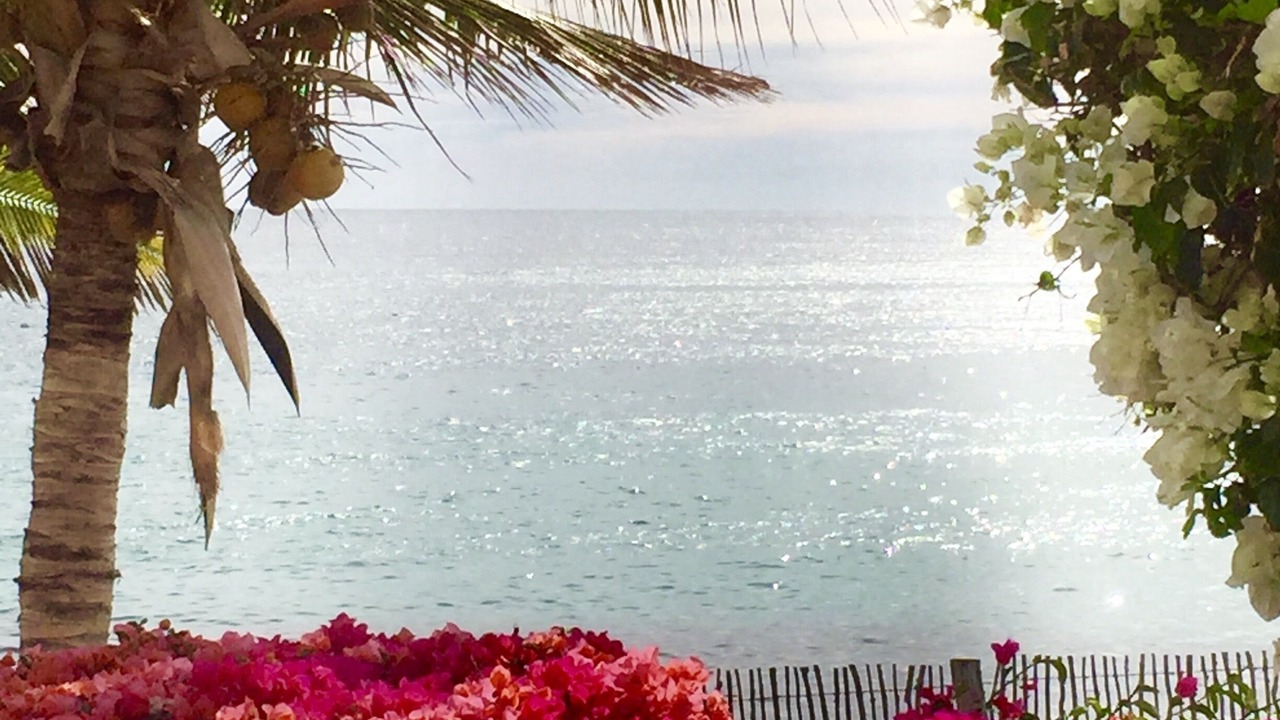 Photo of Outdoor in Los Barriles