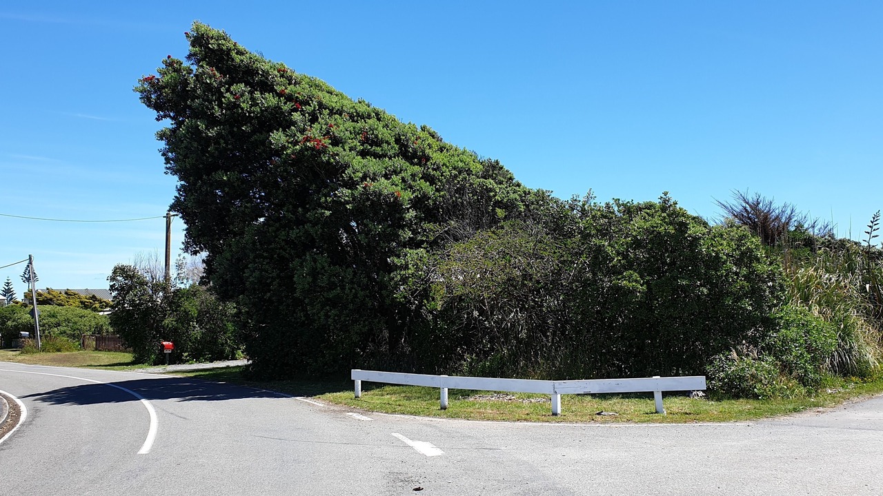Photo of Outdoor in Te Horo Beach