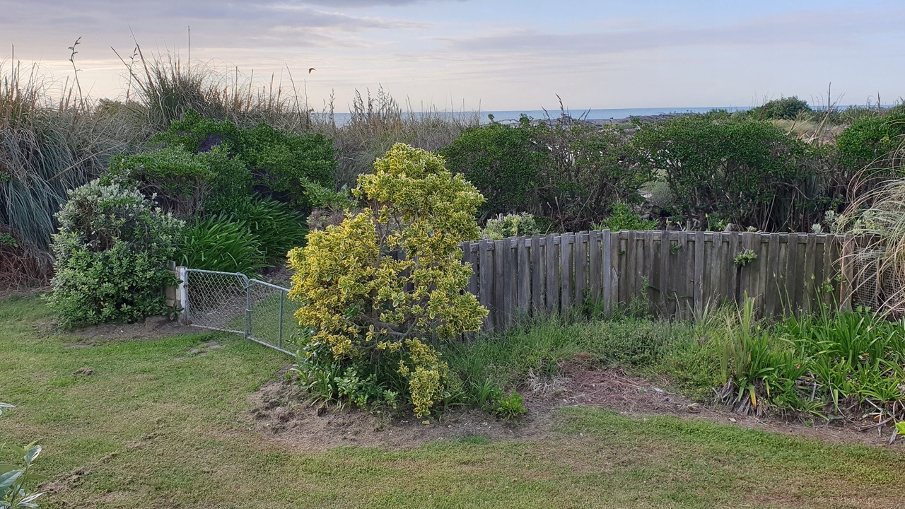 Photo of Outdoor in Te Horo Beach