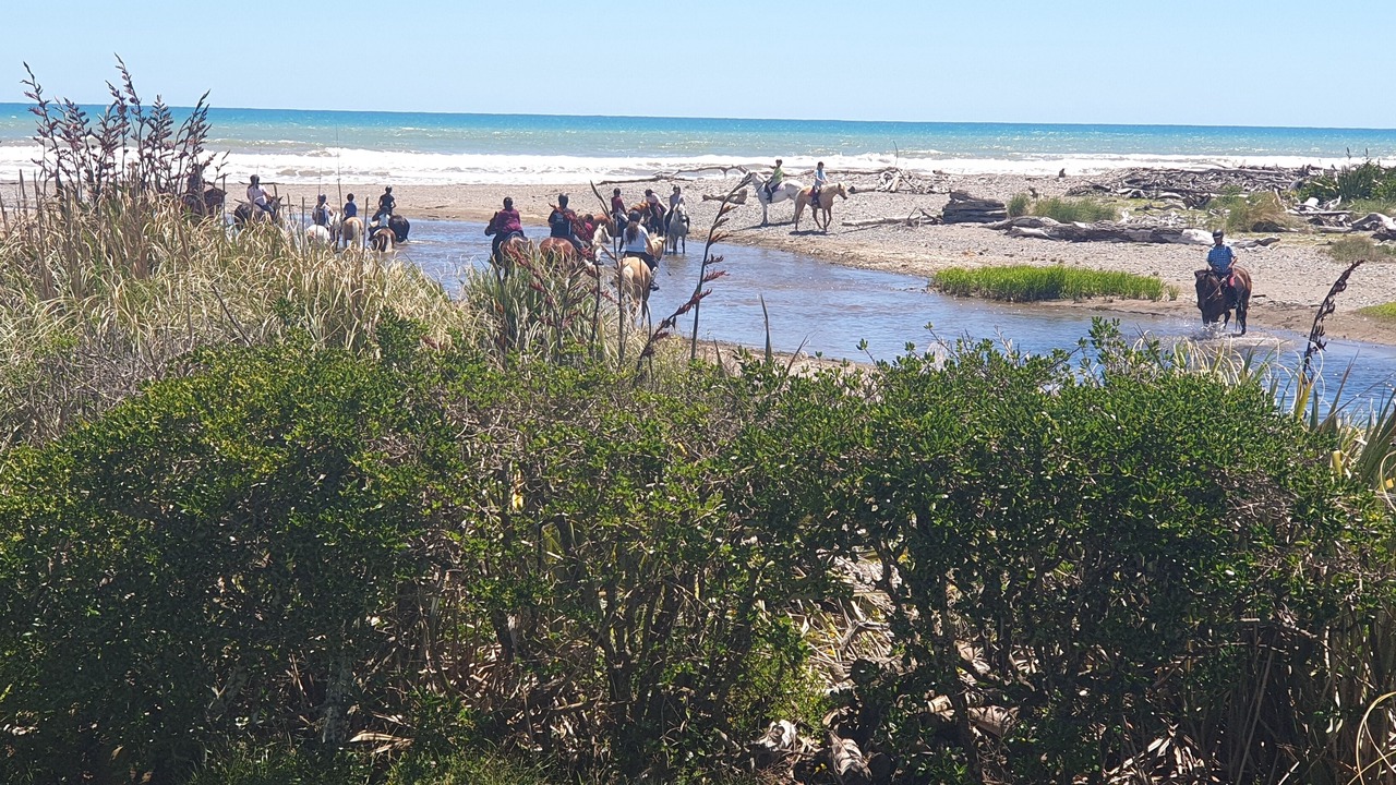 Photo of Others in Te Horo Beach