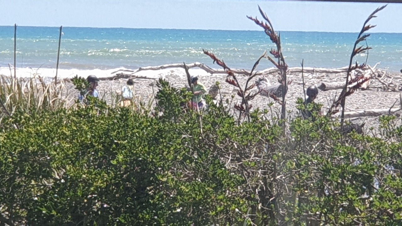 Photo of Others in Te Horo Beach