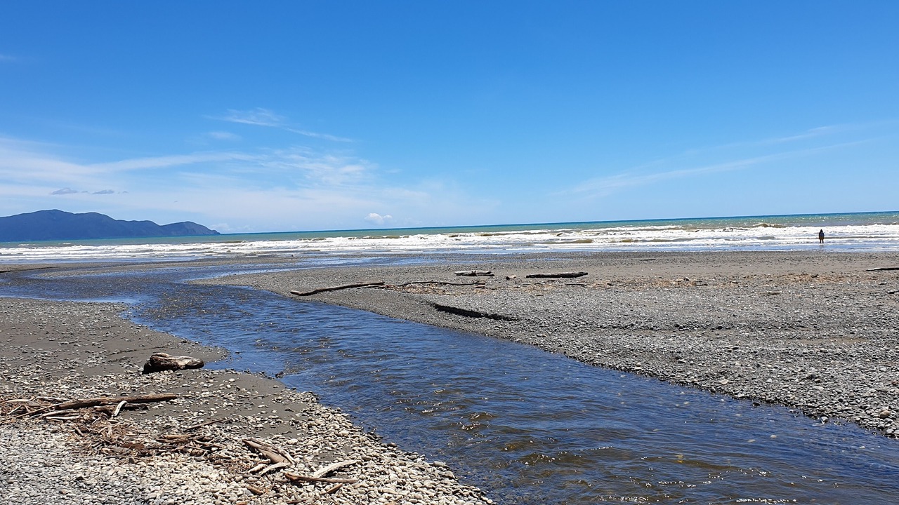 Photo of Others in Te Horo Beach