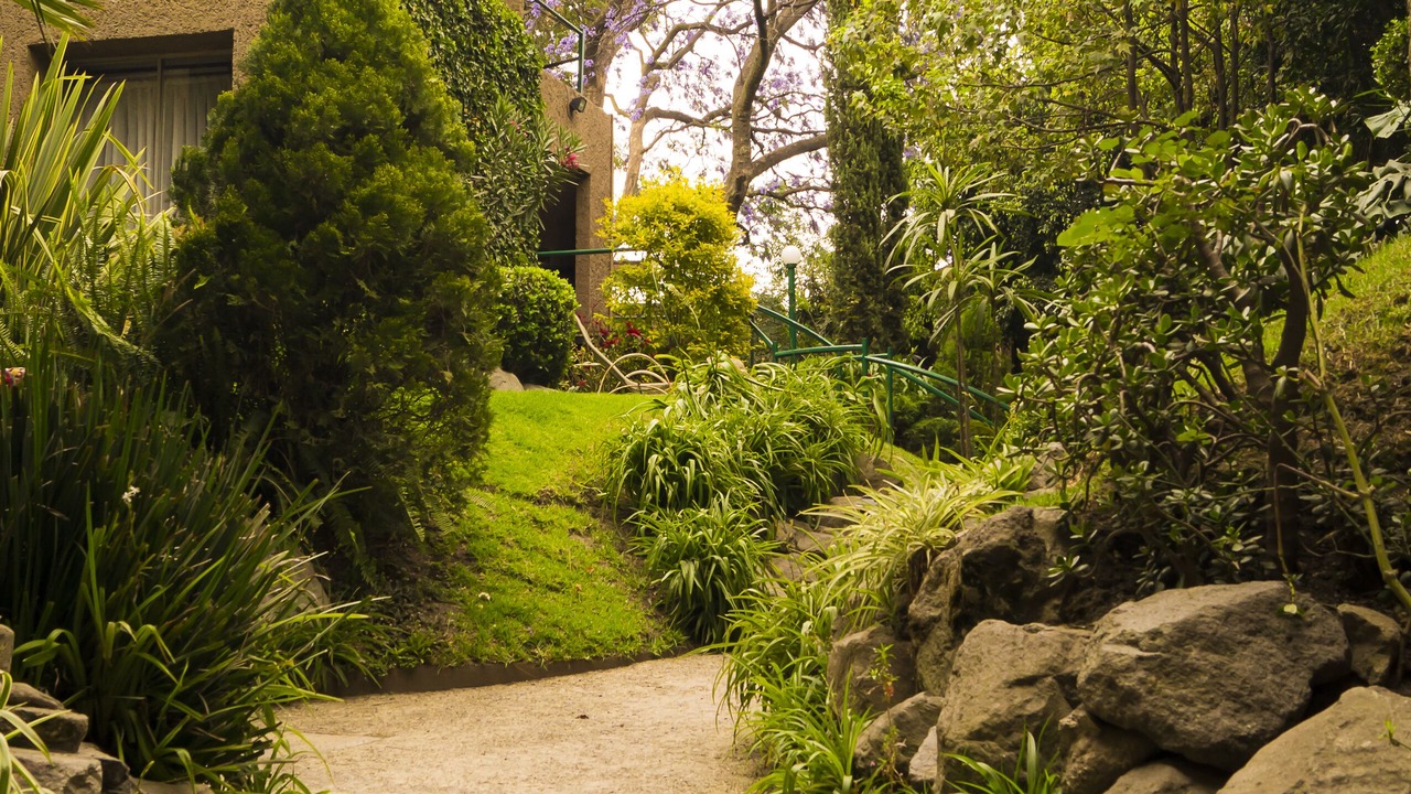 Photo of Outdoor in Guadalupe Inn