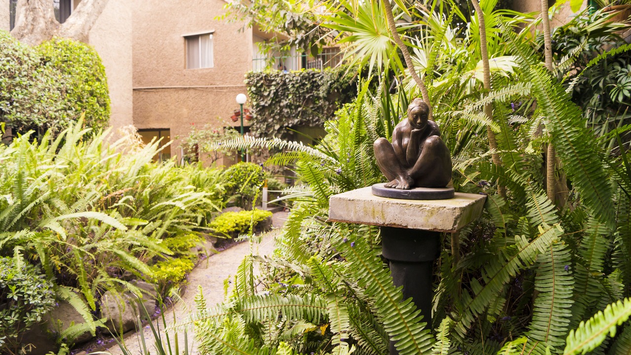 Photo of Outdoor in Guadalupe Inn