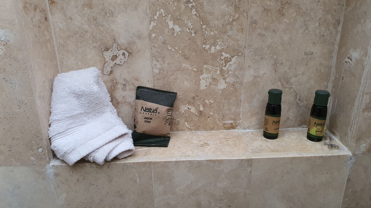Photo of Bathroom in Torreon